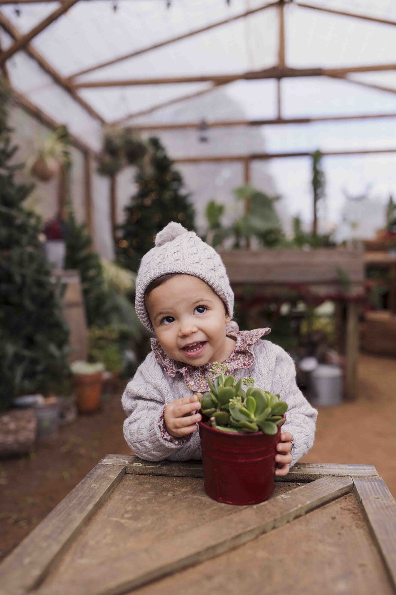Sesiones de navidad 